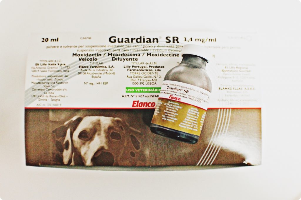 guardian