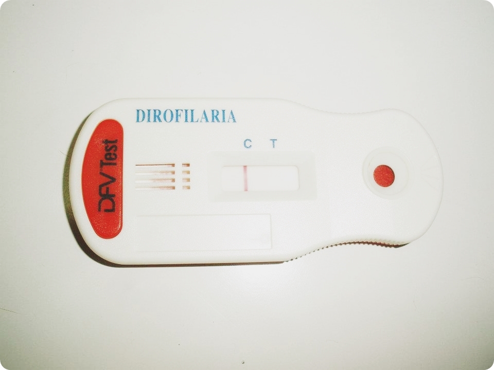 test filaria