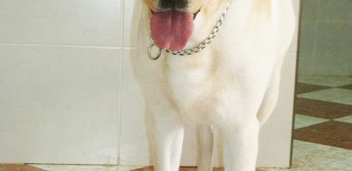 Luna